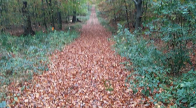 Herbststimmung